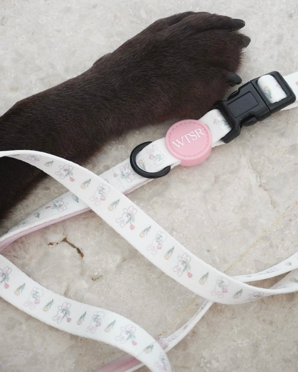 Bunny Hands-Free Leash